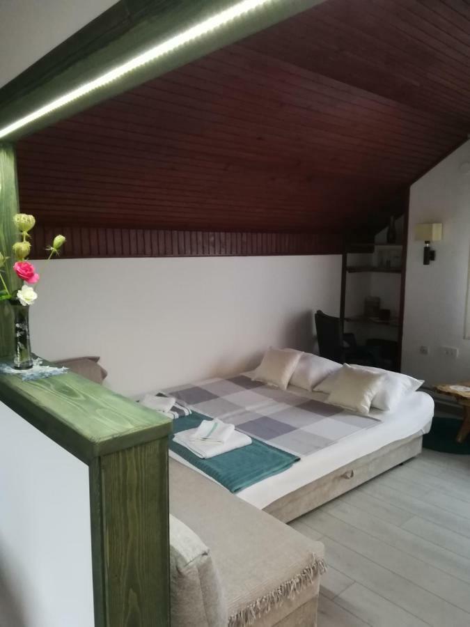 Apartment Arya Korenica Zewnętrze zdjęcie